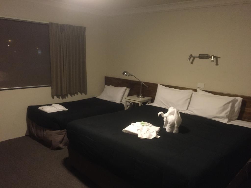 Murray Valley Motel Wodonga Bagian luar foto